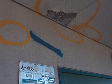 打診調査・報告書作成